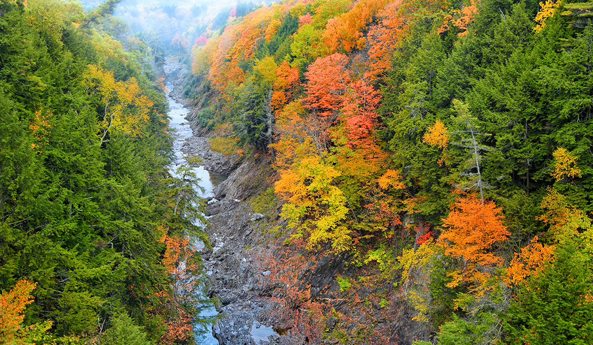 New England Rails & Trails Alumni Association of the University of