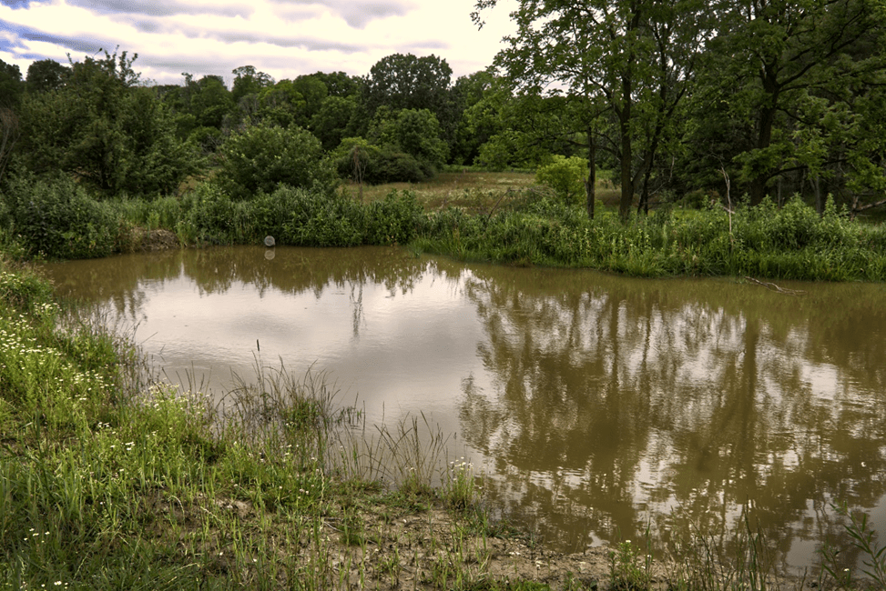 ALUS Receives Over 500,000 for Species at Risk Habitat in Ontario ALUS