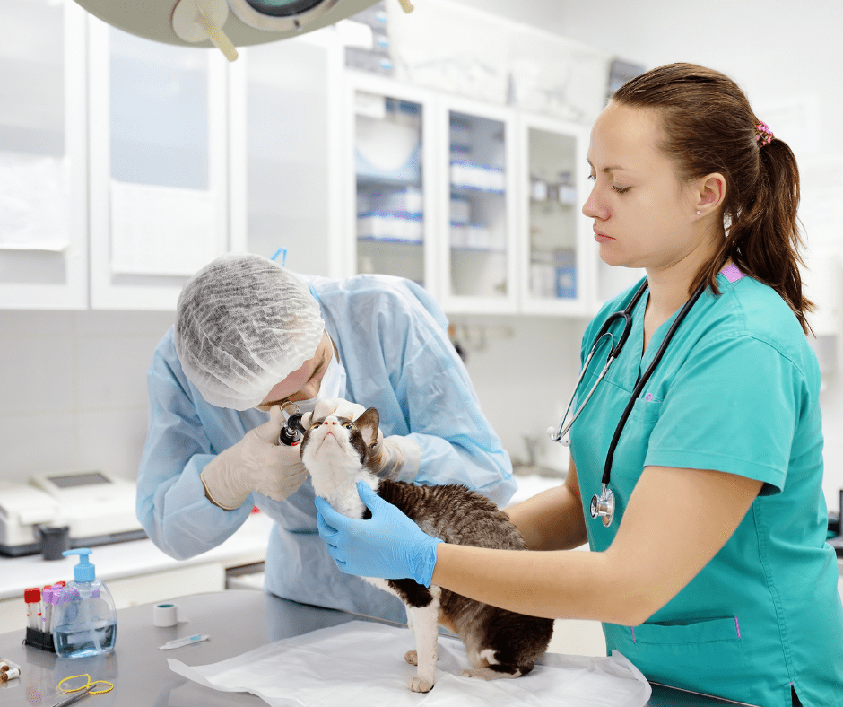 Alabama Veterinary Technician Association To represent and promote