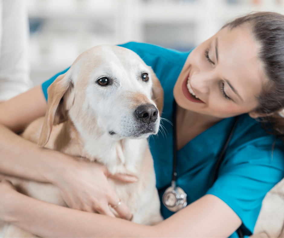 Alabama Veterinary Technician Association To represent and promote the veterinary technology