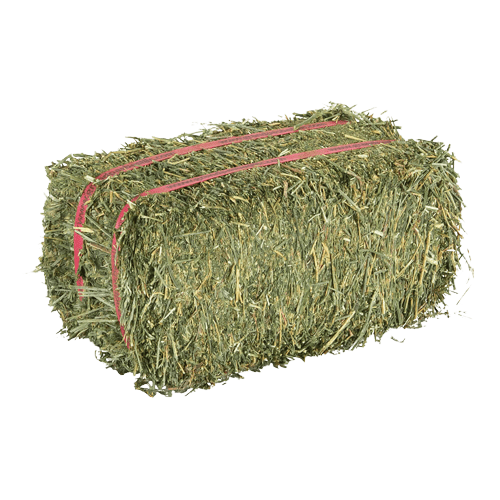 Alfalfa Hay Alviksgården Lantbruks AB