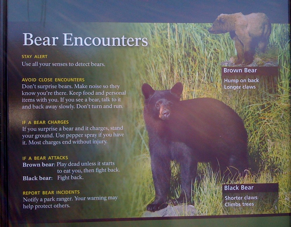 Bear safety in Alaska If it starts to eat you, fight back