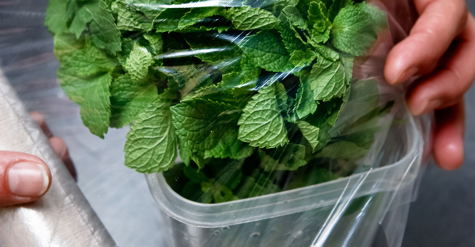 FILM & CELLOPHANE WRAPS Al Walid Plast