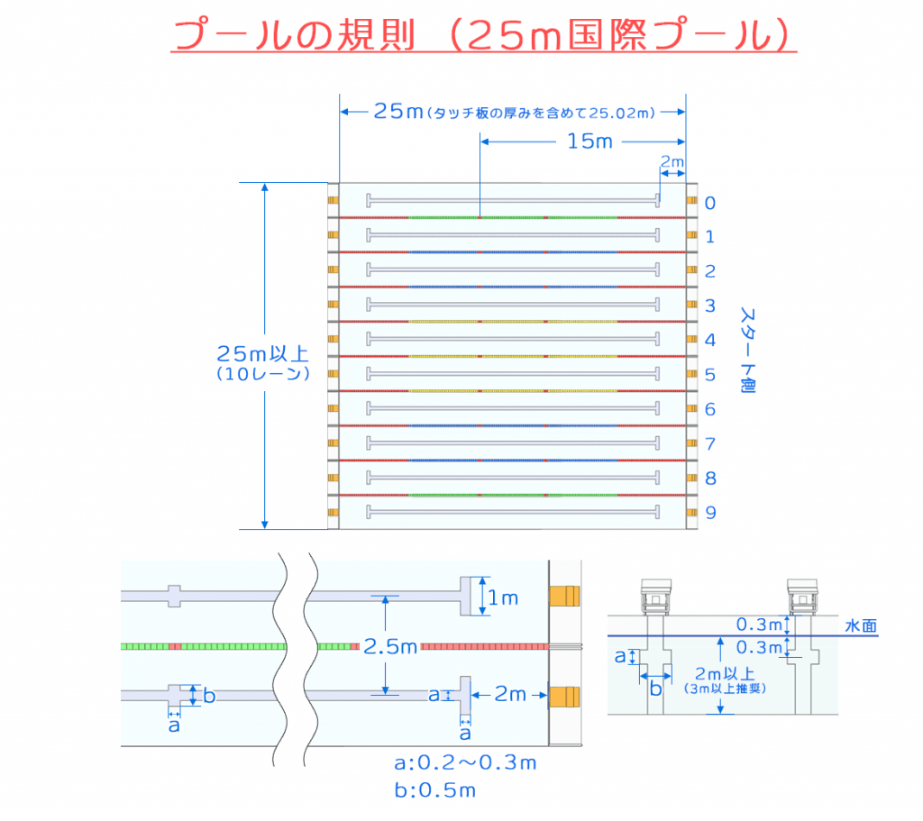 知識 】プールの規格 高さ、サイズ、寸法など。イラストレーター、3Dモデラーは知っておきたい知識をわかりやすく