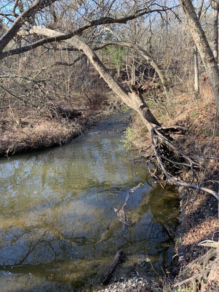 Lockhart State Park The Complete Guide Always Up For An Adventure