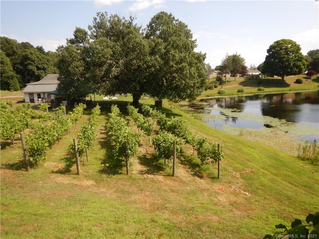 COMING SOON Spring 2024 Amos Lake Winery