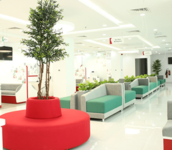 Al Yalayis Government Transactions Center