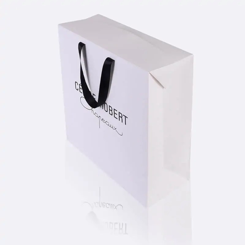 Printed Laminated Paper Bags Alya Packaging