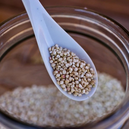 Instant Energy Food for Weakness in Older Adults AlzheimersLab