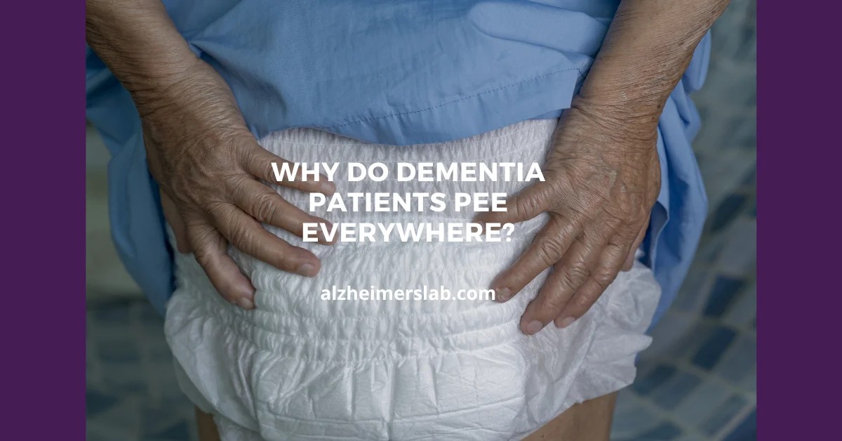 Why Do Dementia Patients Pee Everywhere? AlzheimersLab
