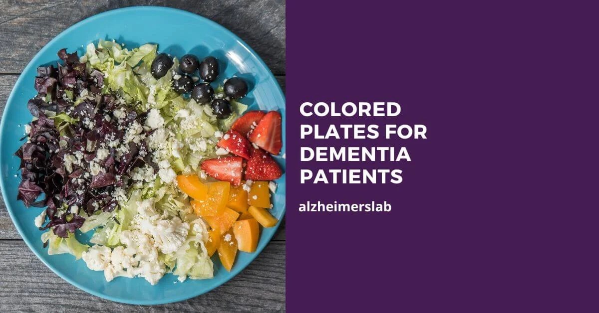 6 Best Colored Plates for Dementia Patients AlzheimersLab