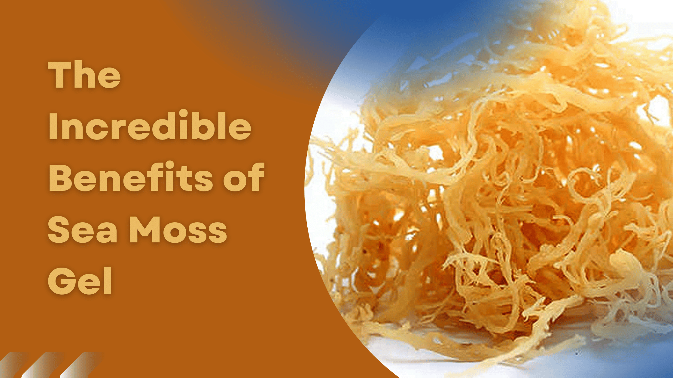 The Incredible Benefits of Sea Moss Gel in Pakistan Am2pm.pk