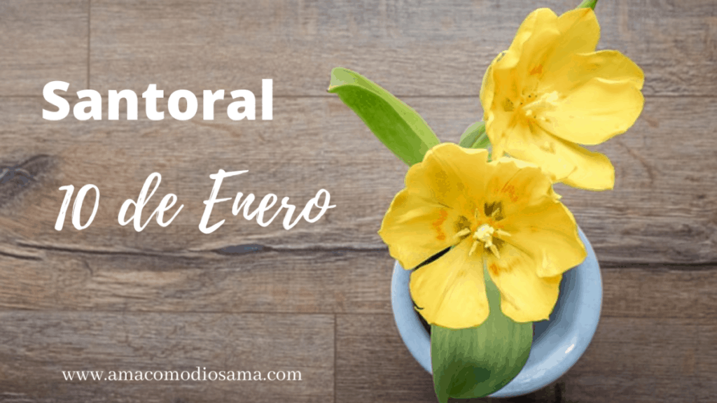 San Gregorio de Nisa Santo del día para el 10 de Enero Ama Como