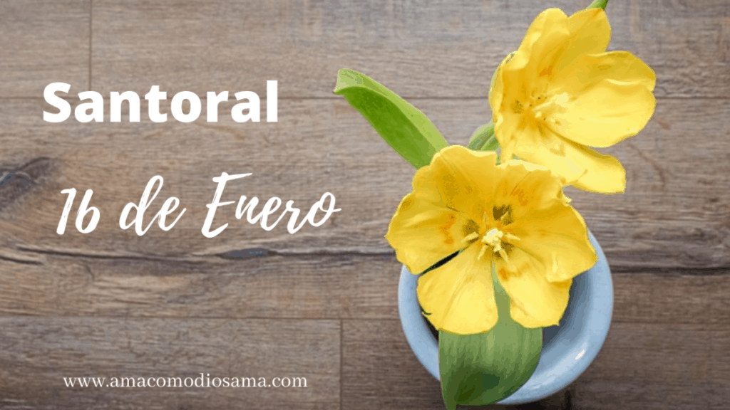 San Berard y Compañeros Santo del día del 16 de Enero Ama Como Dios Ama