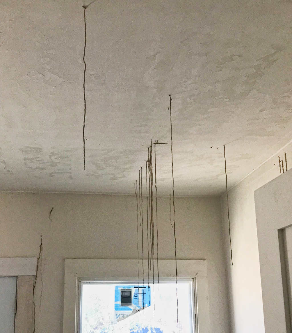 Subterranean Termites In Ceiling Shelly Lighting