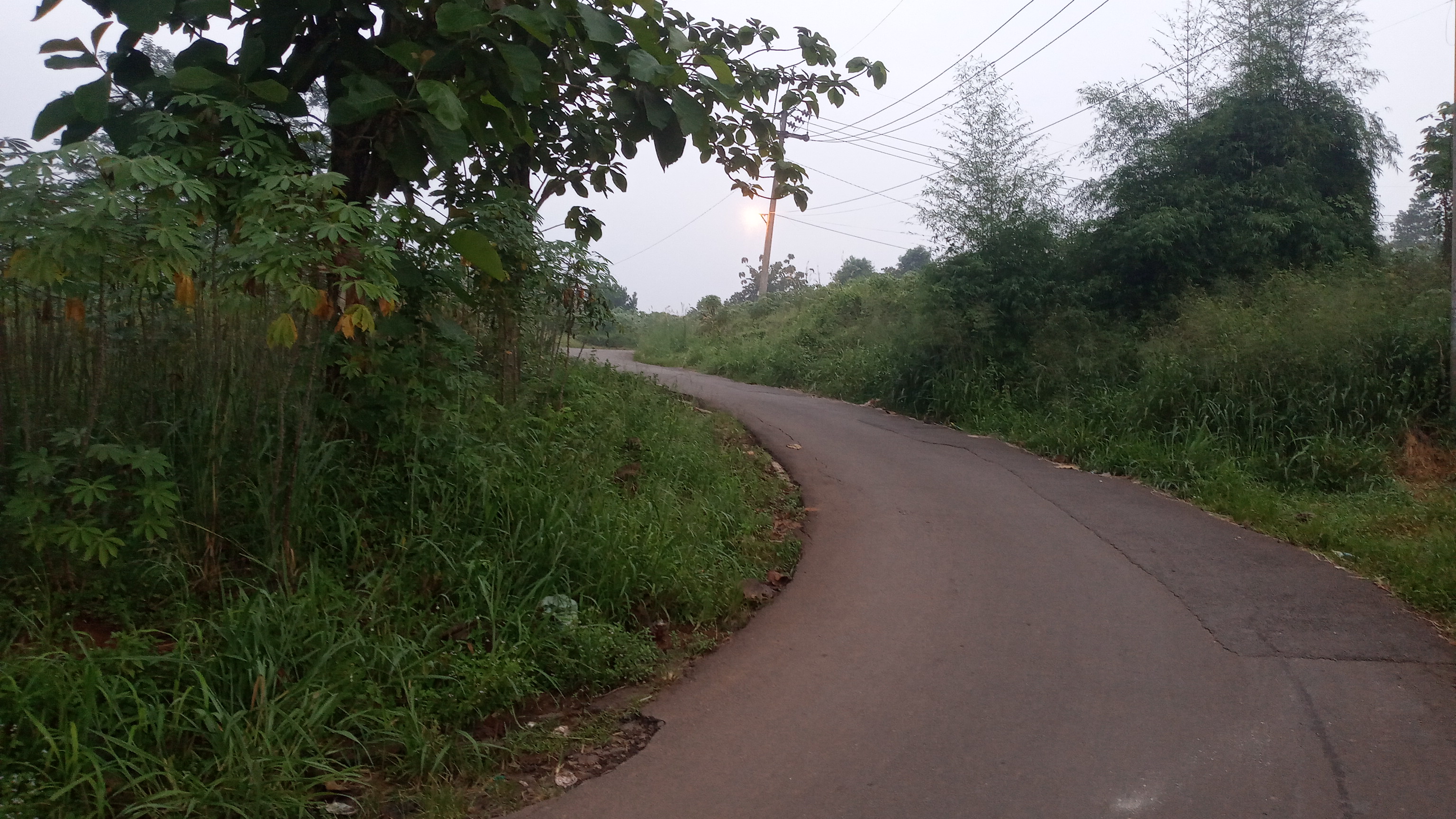 Mahrizal Selamat Datang di Rumah Dunia Mayaku