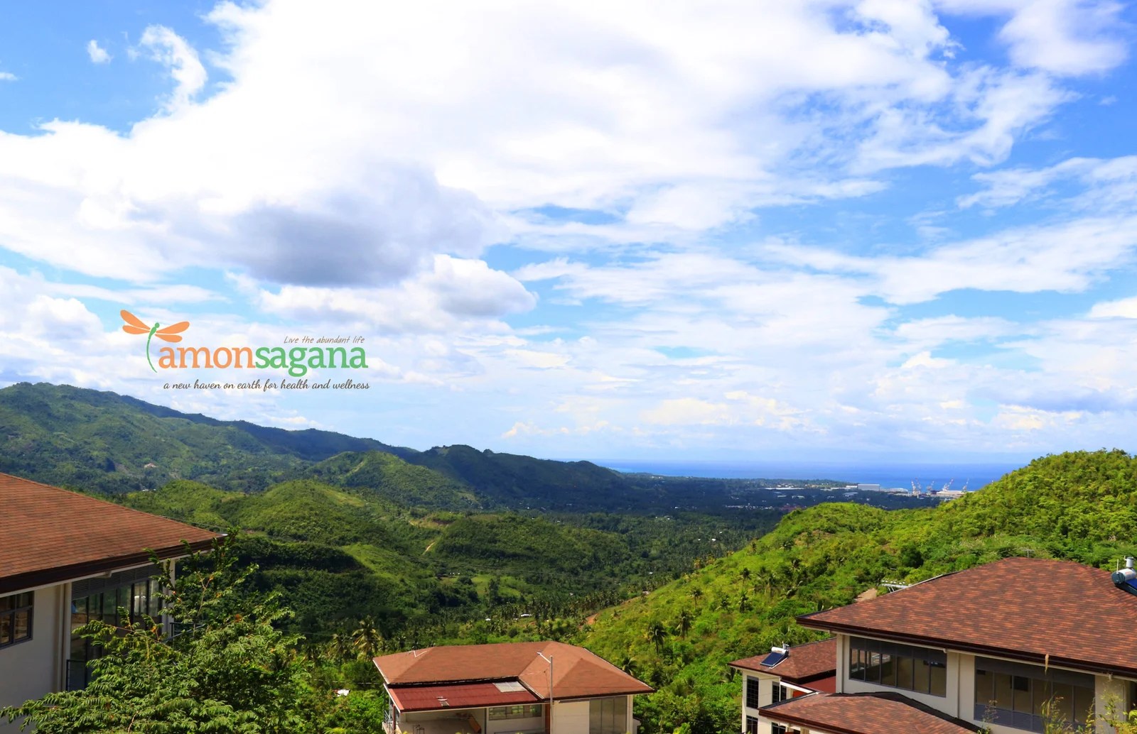LOT FOR SALE at AMONSAGANA Balamban Cebu AmanciaLand Realty