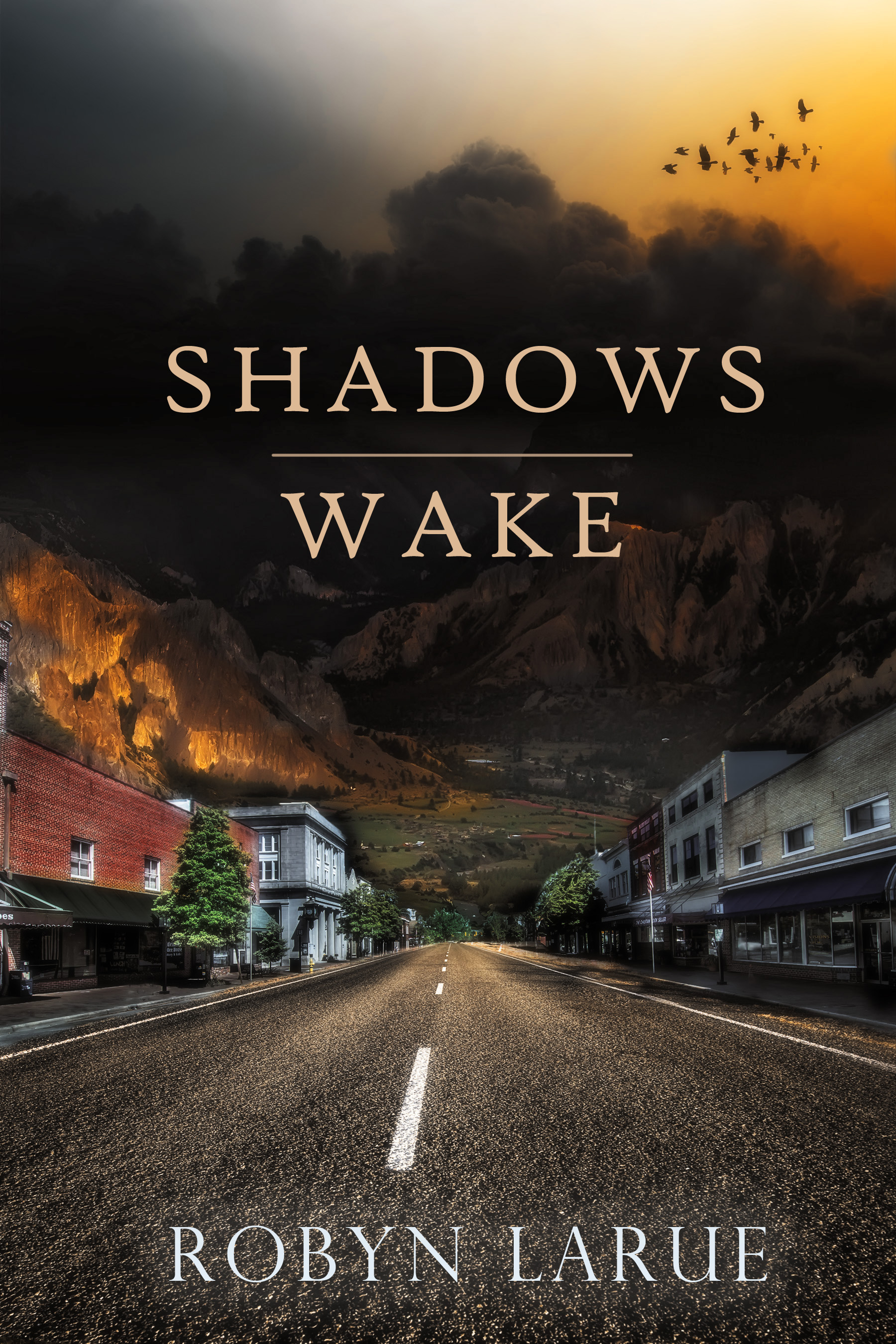 Book Giveaway! Win a free copy of Shadows Wake Amanda Book Giveaway! Win a free copy of Shadows Wake Amanda