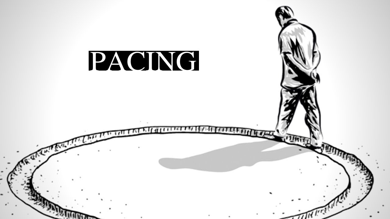 Writing Craft Elements Pacing Back Cover Copy Company