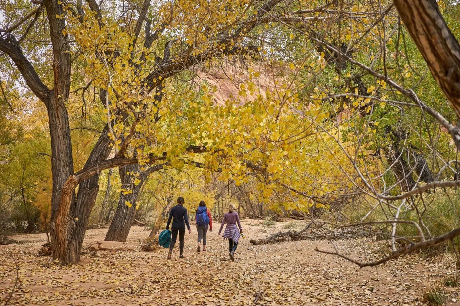 7 Best Outdoor Fall Activities in Utah Amanda Outside