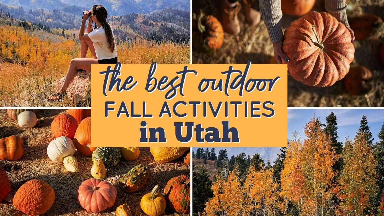 10 MustDo Activities at Antelope Island State Park in Utah (from a