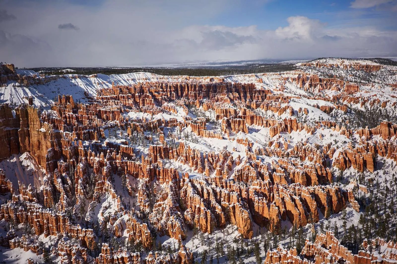 Are Dogs Allowed In Bryce Canyon National Park