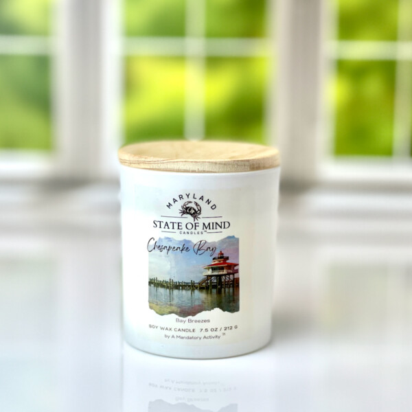 Chesapeake Bay Soy Candle A Mandatory Activity Candles