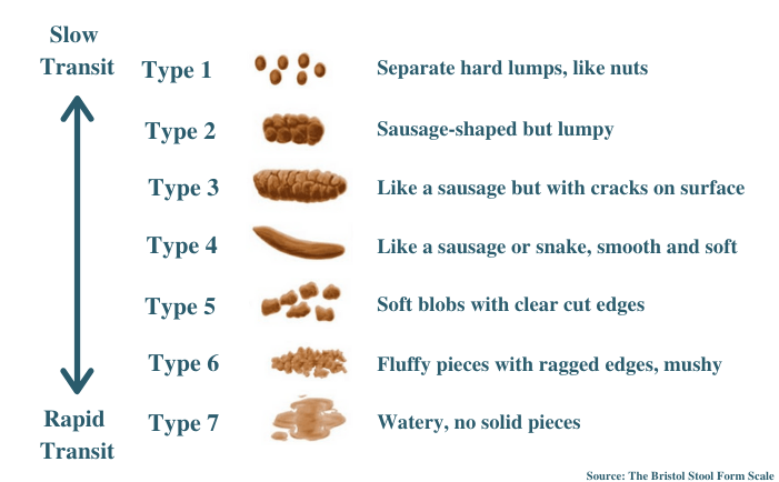 Poop Colors, Shapes, Sizes, and Consistency: Meaning Verywell.