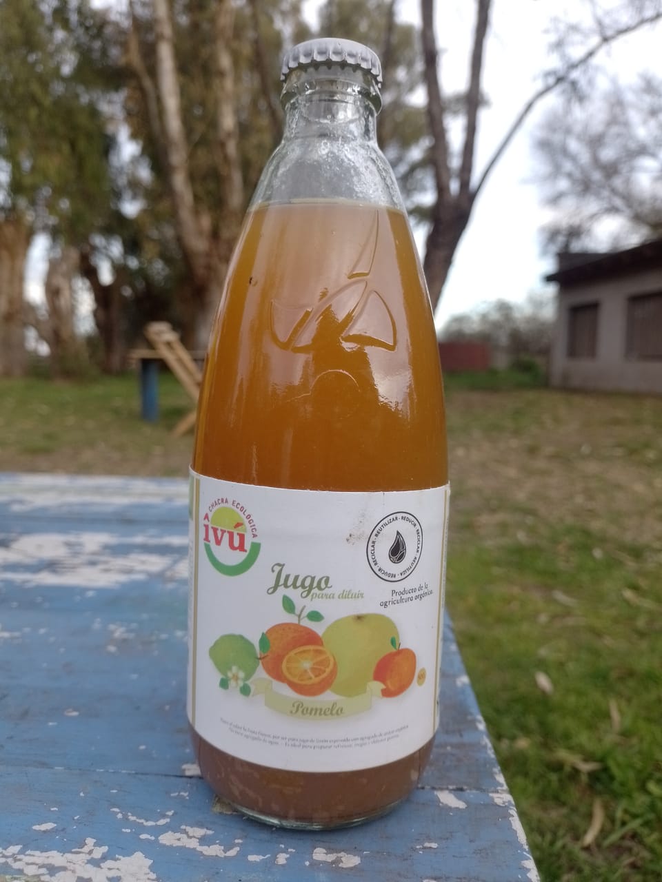 Jugo para diluir de pomelo IVU x 500ml Amaranto