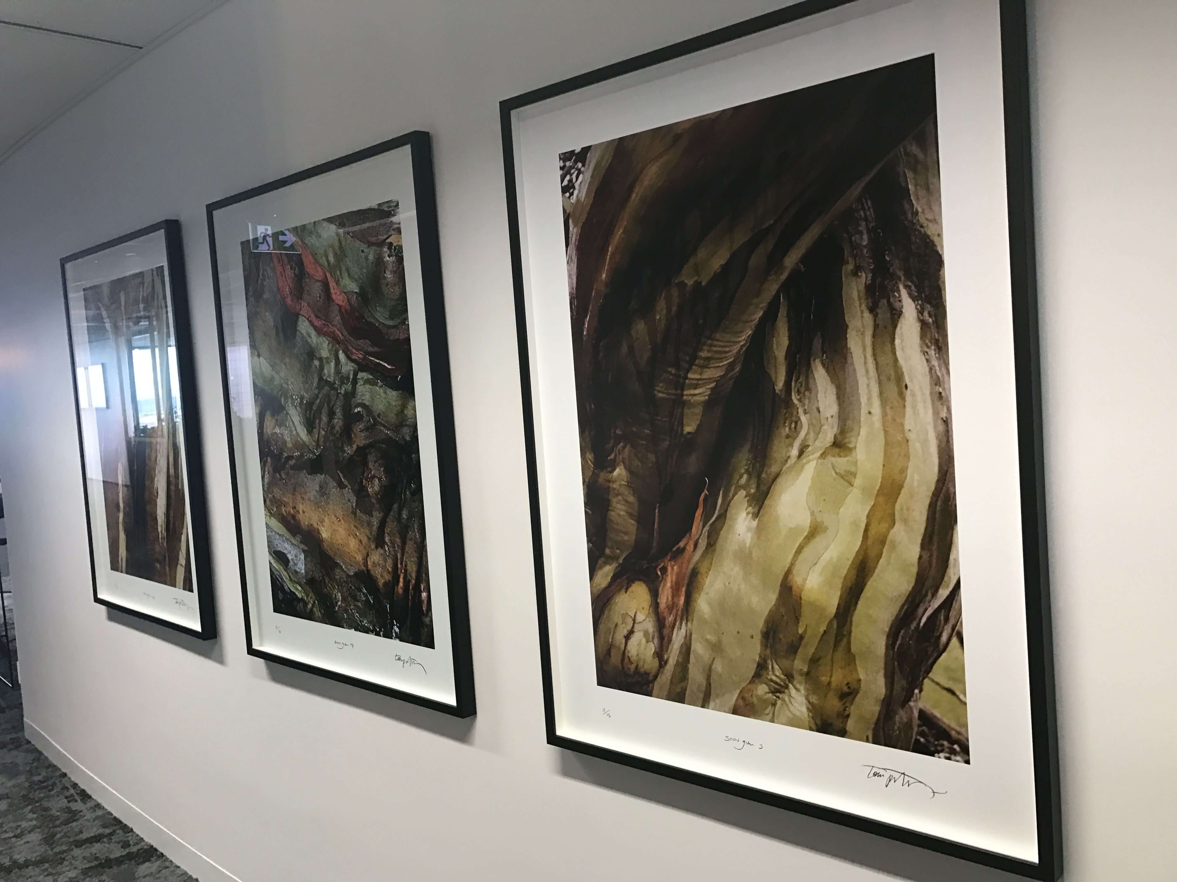 Commercial Framing Sydney Photo Mounting Service