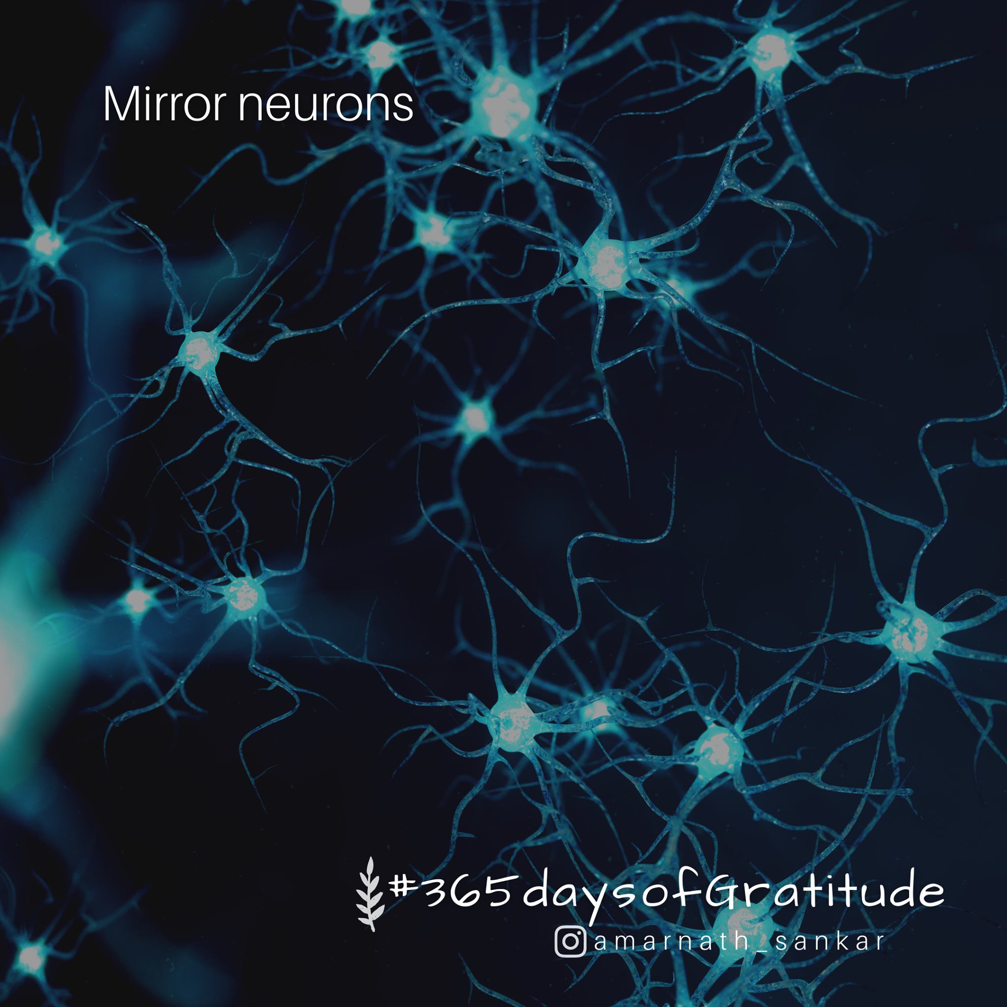 day78 Mirror neurons Amarnath Sankar