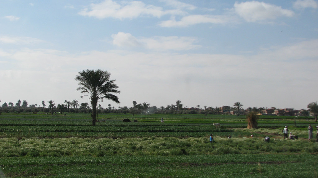 Egypt to soon launch modern irrigation systems Minister Egypt