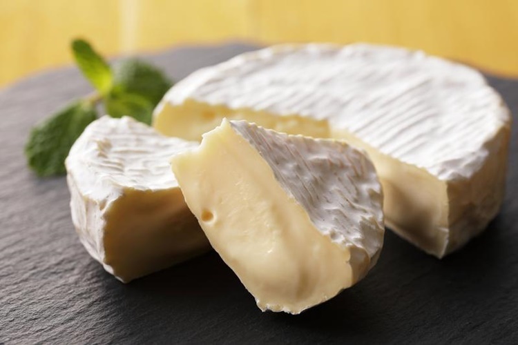12 Most Expensive Cheese in the World You'll Never Waste Them!