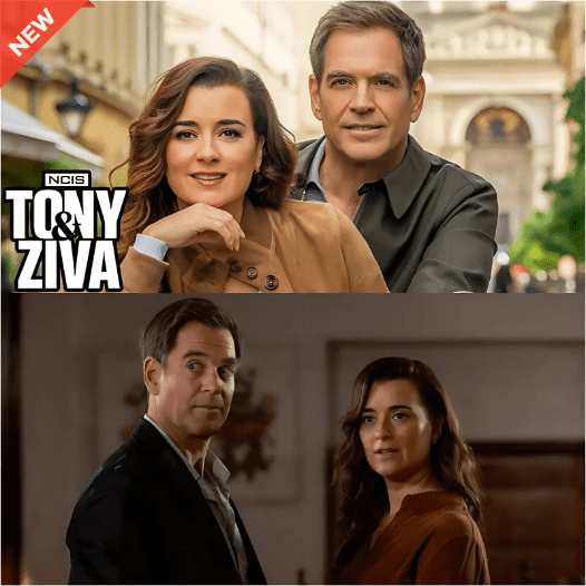 Cote Reveals The One Thing She Refuses To Do On NCIS And While Michael