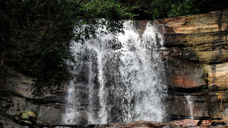 Upper Segment of Berry's Falls