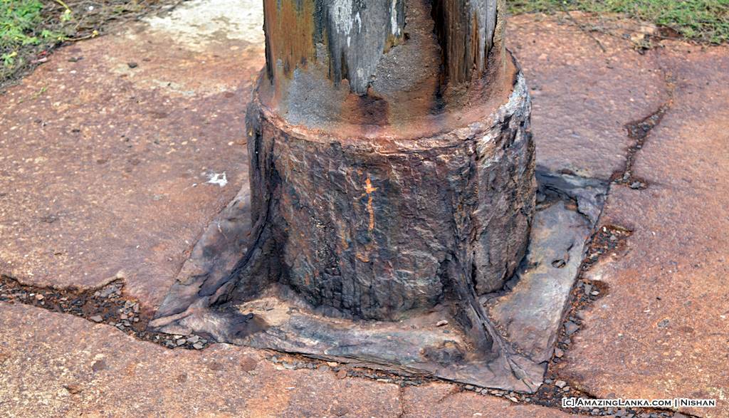 Gallows Tree in Hambanthota