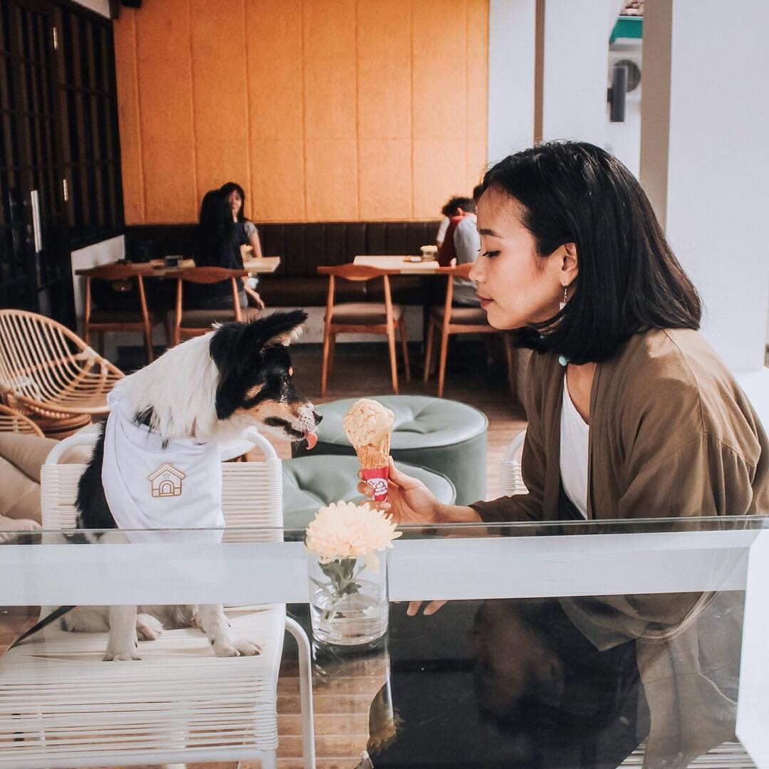 7 Cafe Instagramable Banget Di Malang Part 2 Amazing Malang