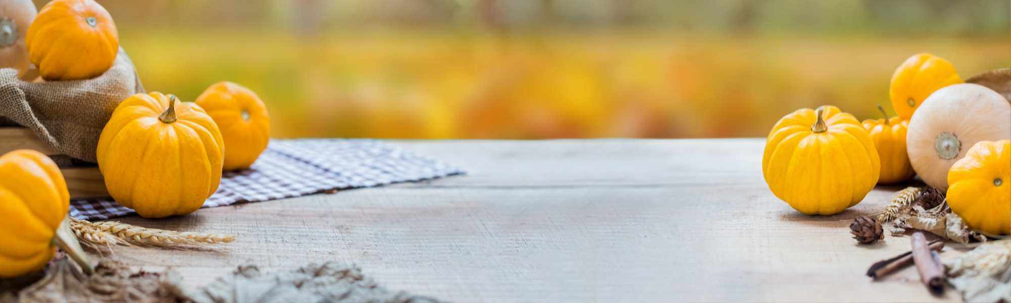 Thanksgiving Activities In Houston Amazing Spaces®