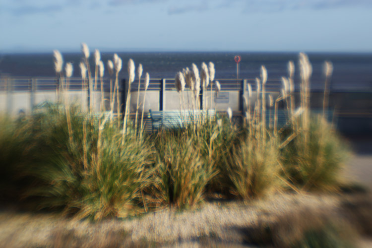 Antonia Kearton Photography Shell Park