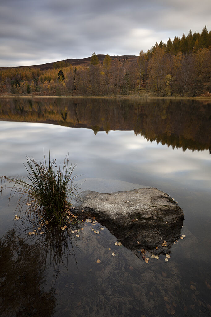Coda Images mill dam