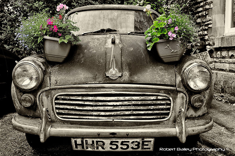 Robert Bailey Photography Morris