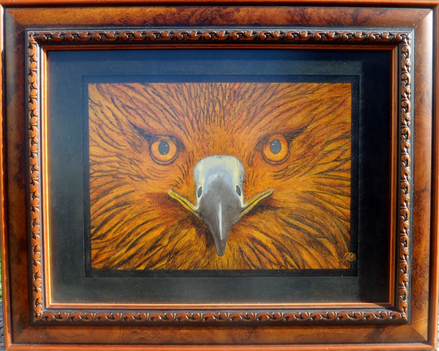 The Art of Rob McCormick Golden Eyes