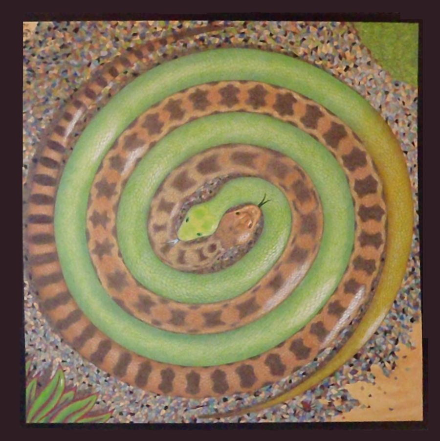 The Art of Rob McCormick Snake Spiral