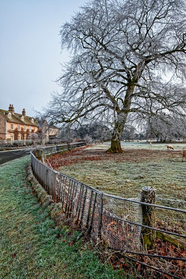 John A Taylor Photography Newton Kyme