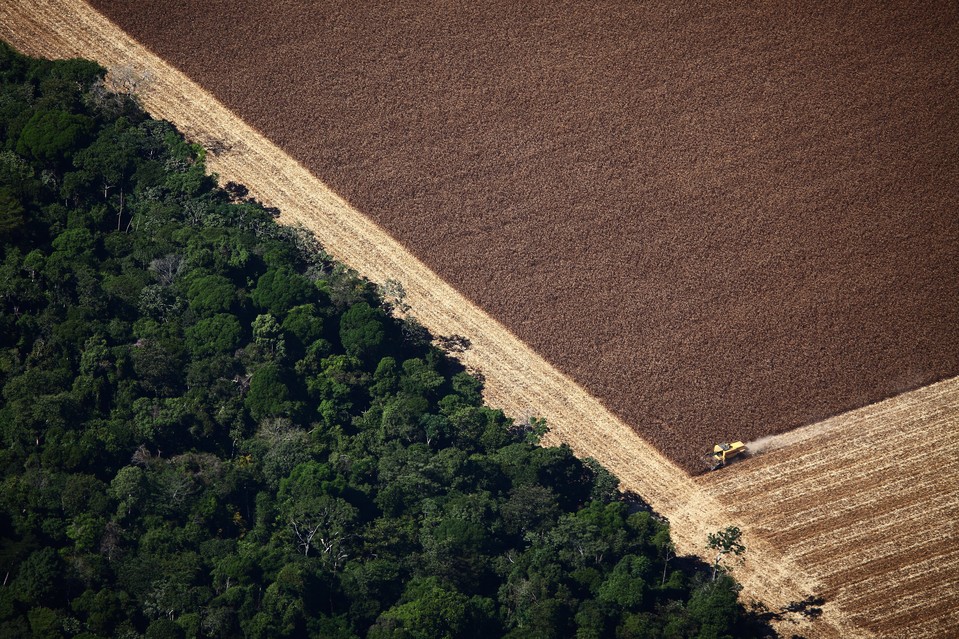 Photo Story Aerial Images of Deforestation in the Amazon Rainforest