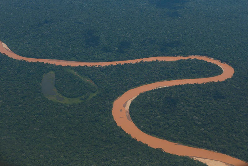 The Amazon and Water Amazon Aid