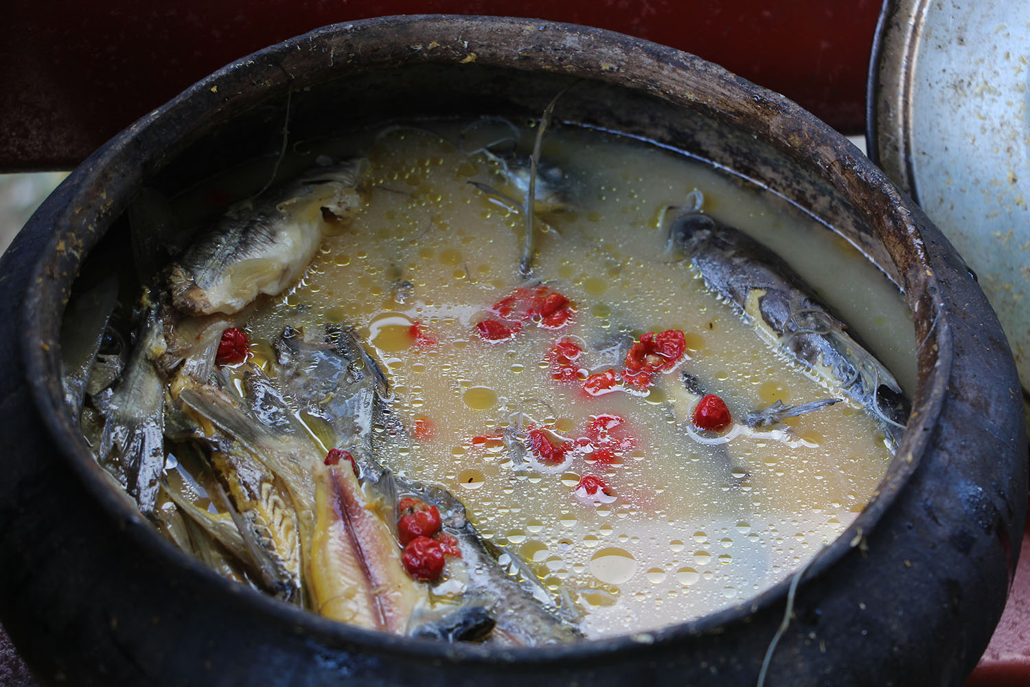 The Heart of the Matter Amazonian Diet Among the Best in the World