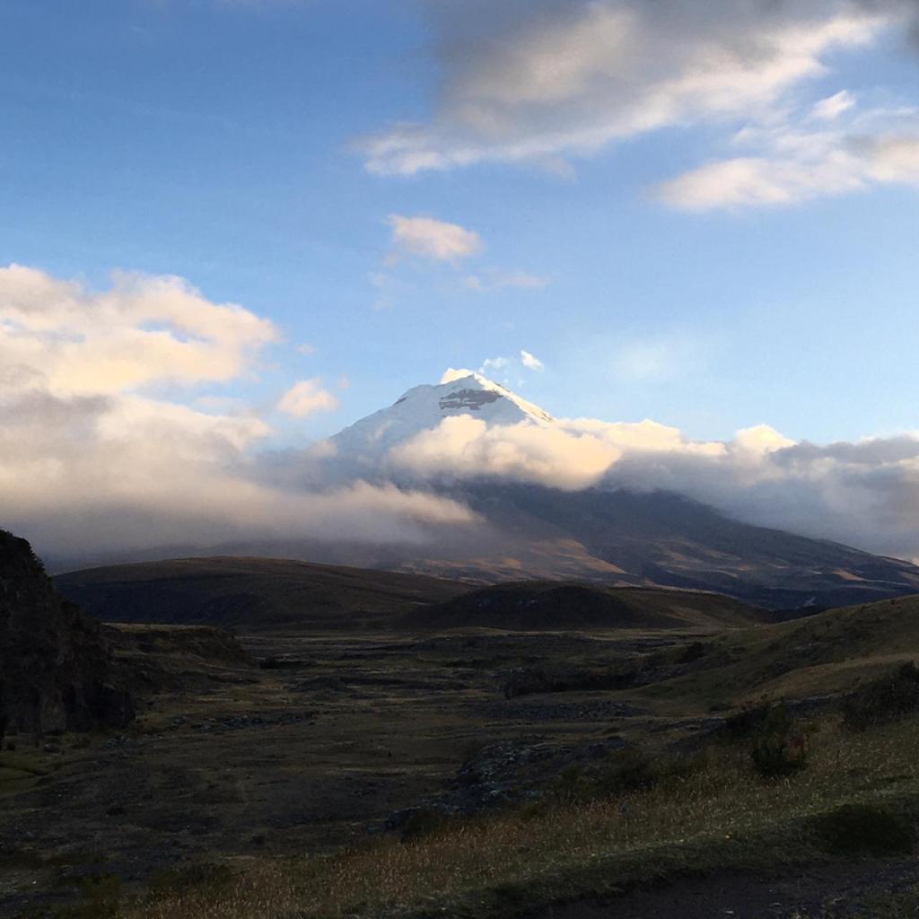 Contact The Amazonia Vanilla Company