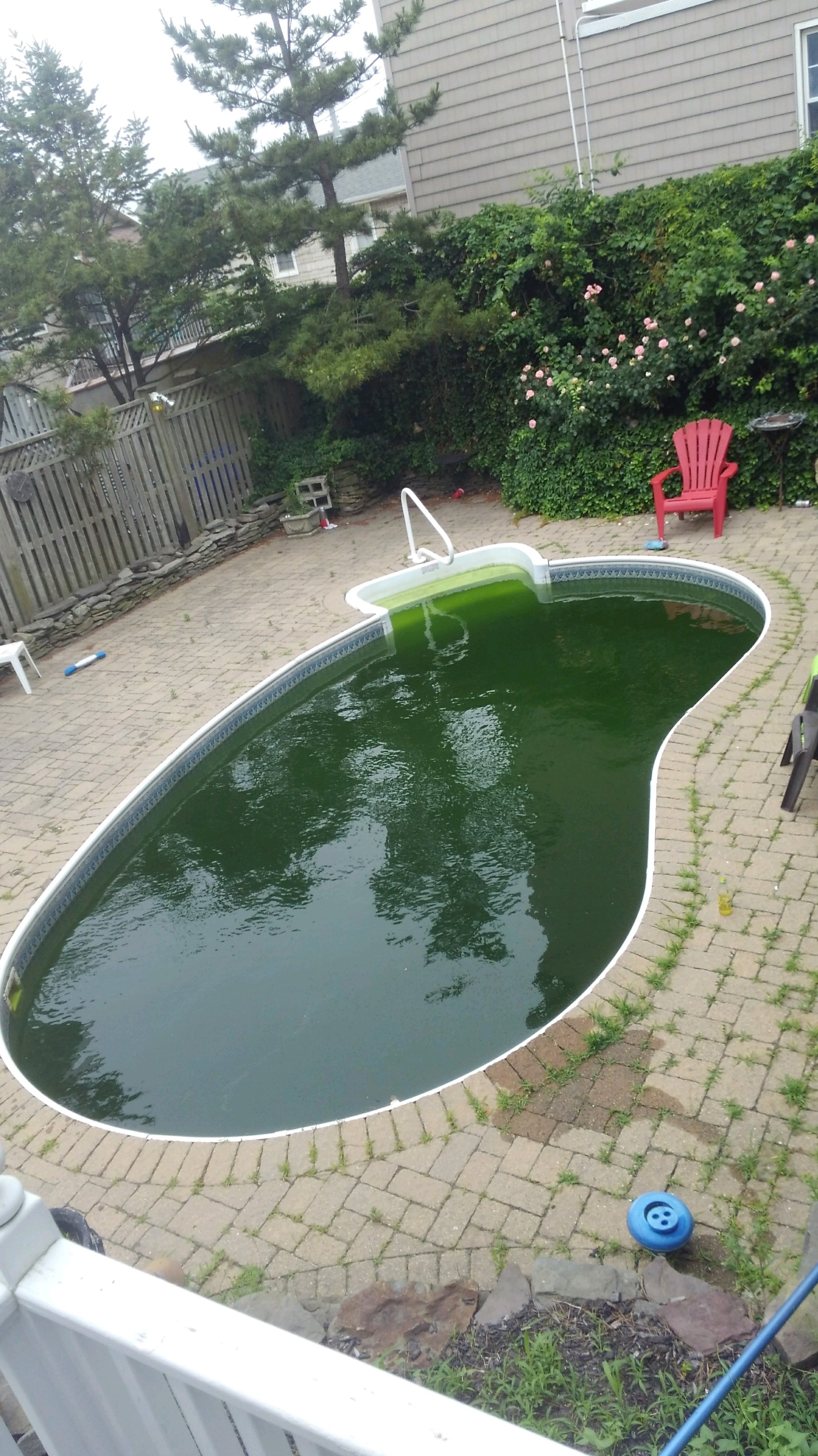 IMG_0942 Amazon Pools