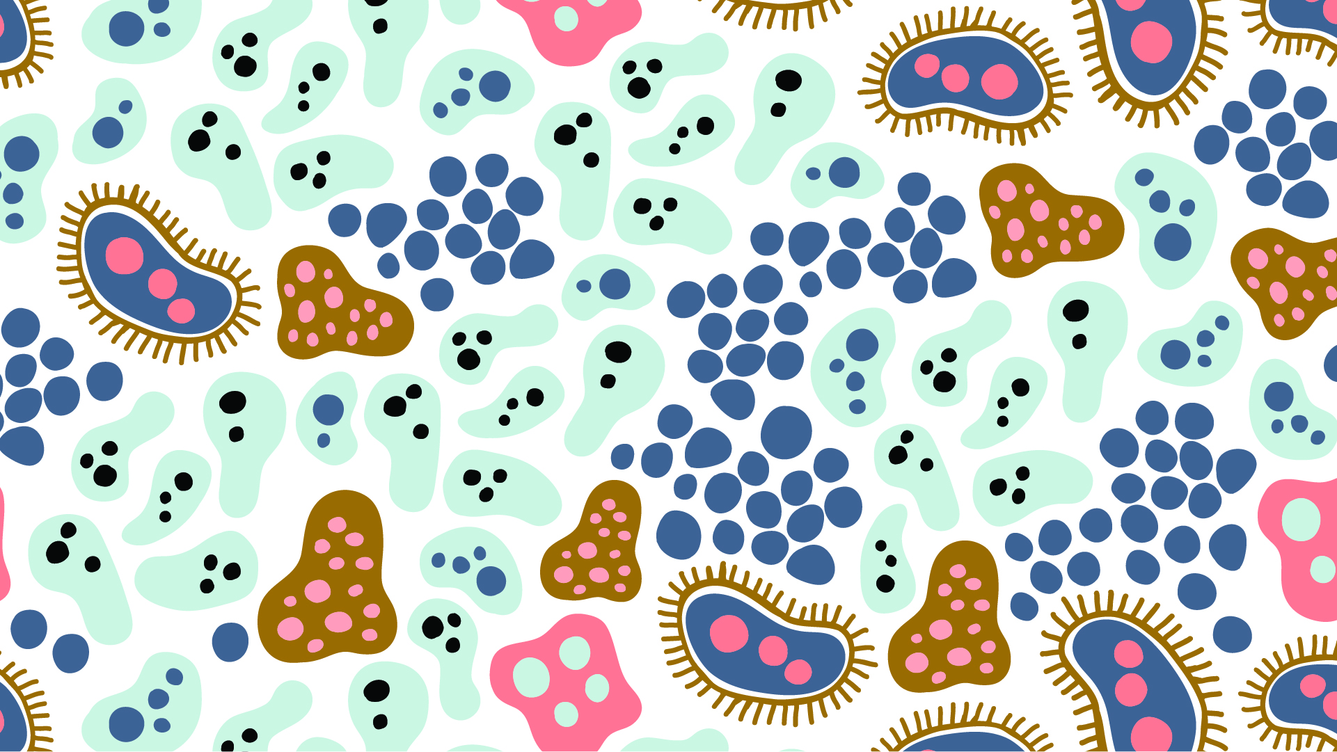 Whitepaper Bacterial Growth in Towels Amba Products